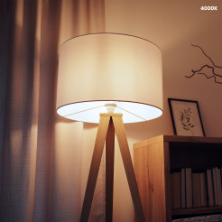Żarówka LED 5W E14 G45 4000K EKZA0216