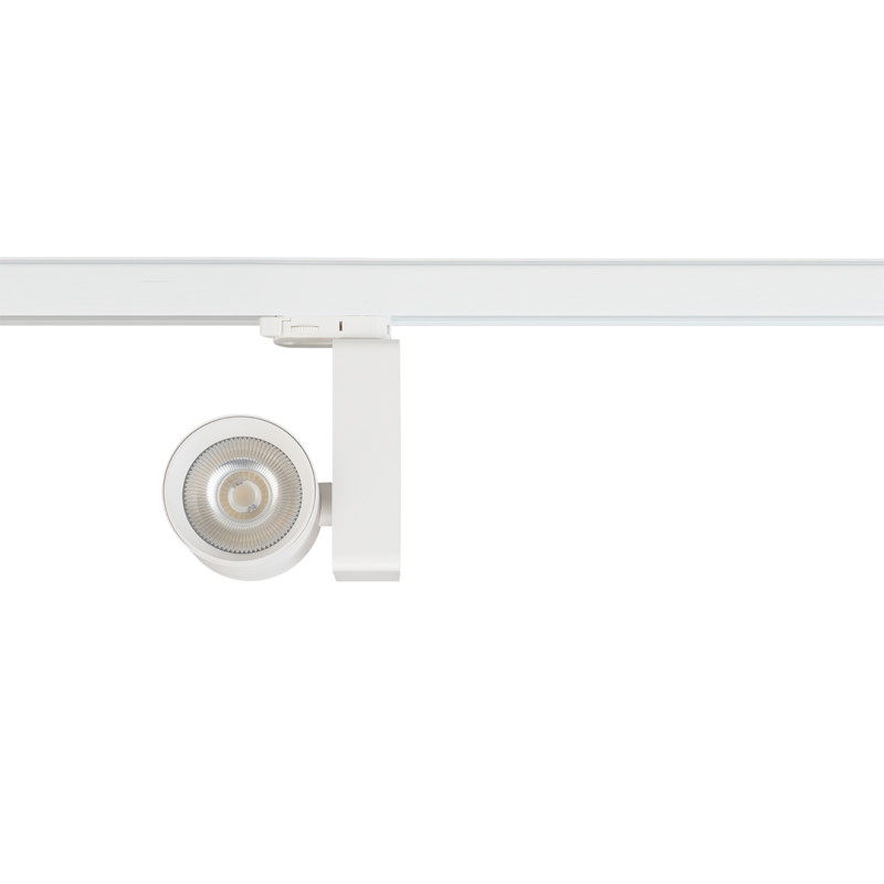 Reflektor Ojo 25W 2700/4000K Biały 3 Obwodowy ML1106