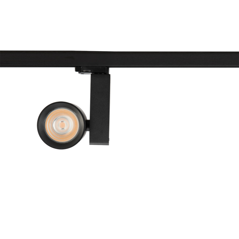 Reflektor Ojo 25W 2700/4000K Czarny 3 Obwodowy ML1107