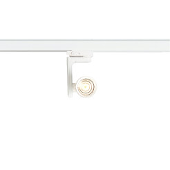 Reflektor Timor 10W 2700/4000K Biały 3 Obwodowy ML1114
