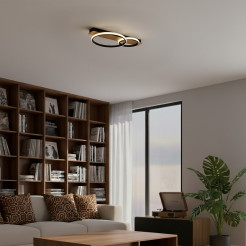 Lampa sufitowa ROWENA 14W LED ML1851