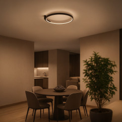 Lampa sufitowa LUNA 18W LED ML1843
