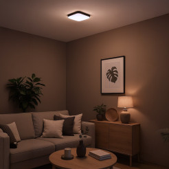 Plafon Nemo Czarny 11W LED ML1835