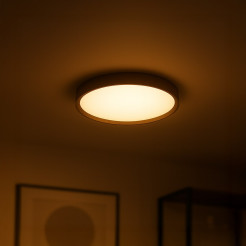 Plafon FOREST 24W LED Ø390 ML2054