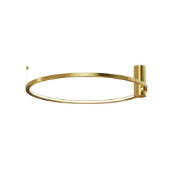 Plafon Ringa M 1xLED złoty CL0112-M-GD CL0112-M-GD