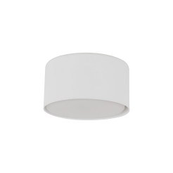 TOP WHITE LAMPA SUFITOWA 1XGX53 11061