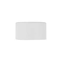 TOP WHITE LAMPA SUFITOWA 1XGX53 11061
