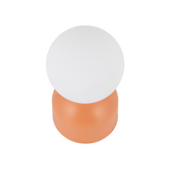 MIKI SALMON LAMPKA NOCNA 1XG9 11388
