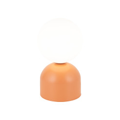 MIKI SALMON LAMPKA NOCNA 1XG9 11388