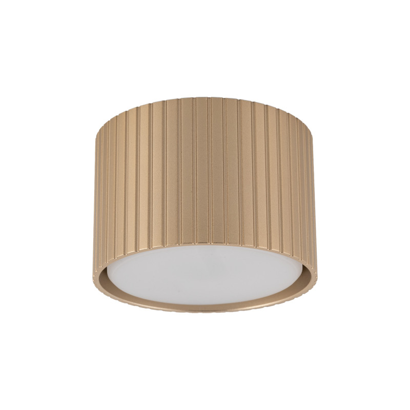 FERRO CHAMPAGNE DOWNLIGHT+ GX53 11657