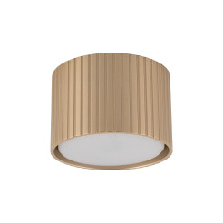FERRO CHAMPAGNE DOWNLIGHT+ GX53 11657