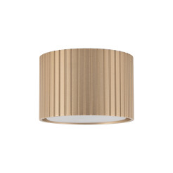FERRO CHAMPAGNE DOWNLIGHT+ GX53 11657
