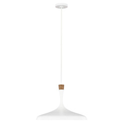 Lampa wisząca Darwin - 1 źródło światła - Matowa biel FE-DARWIN-P