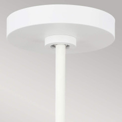 Lampa wisząca Darwin - 1 źródło światła - Matowa biel FE-DARWIN-P