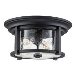 Plafon Merrill - 2 źródła światła - Czarny FE-MERRILL-F-BLK
