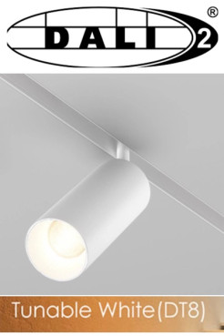 10113 REFLEKTOR MAGNETYCZNY DALI 12W CCT DT8 BIAŁY