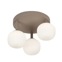 Montes PLF-02217-3-BRO