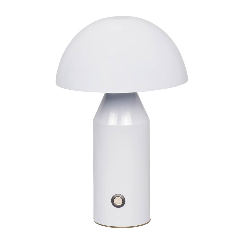 Dorbia TB-83647-WH