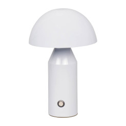 Dorbia TB-83647-WH