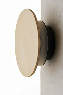 LED brzoza 41562