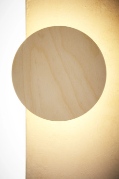 LED brzoza 41562