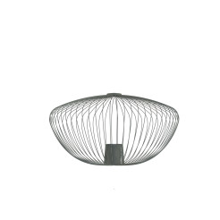 CAMELEON PUMPKIN M 12041