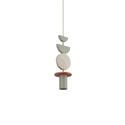 CAMELEON DROPS COLOR D 12116