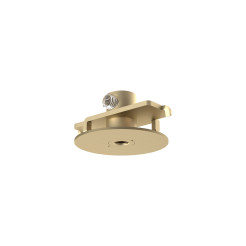 CAMELEON CANOPY F MINI 12442