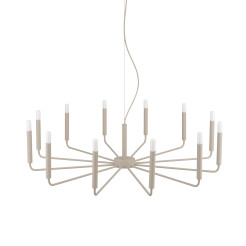 ORTO B 12526