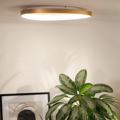 MS756160 LIRIA LAMPA SUFITOWA ZŁOTA/GOLD