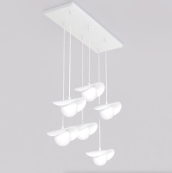6 WHITE 1584/6