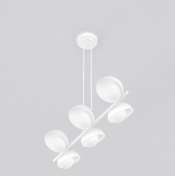 6 WHITE 1592/6