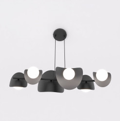 6 BLACK 1491/6