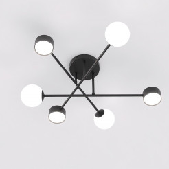 6 BLACK 1558/6