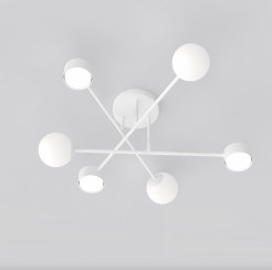 6 WHITE 1559/6