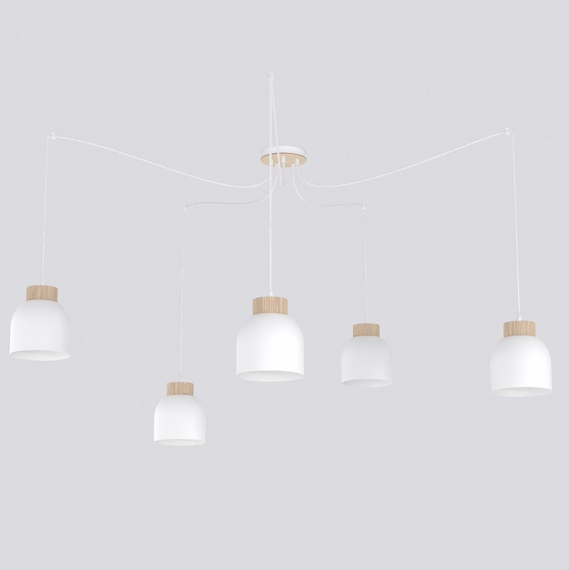 5 WHITE 1625/5