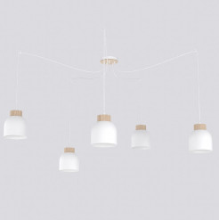 5 WHITE 1625/5