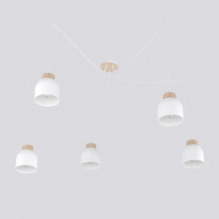 5 WHITE 1625/5
