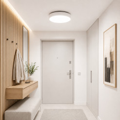VELIS WHITE PLAFON LED 24W IP54 18279