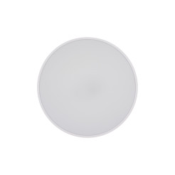 VELIS WHITE PLAFON LED 30W IP54 18283