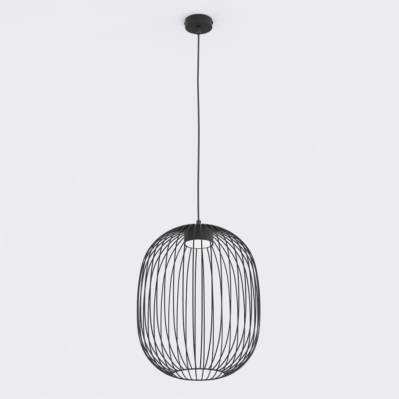 1 BLACK 1699/1