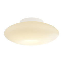 Lampa sufitowa Robin 11W LED ML2804