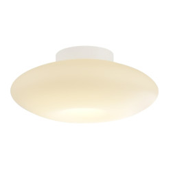 Lampa sufitowa Robin 14W LED ML2806