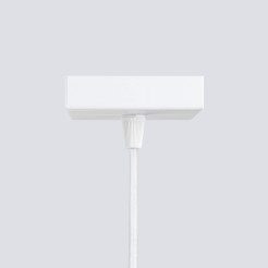 Lampa wisząca KARBON 1 biały SL.1535