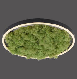 15391-66 GREEN RITUS LAMPA SUFITOWA NATURALNY MECH