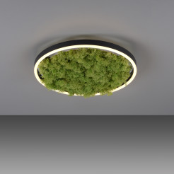 15391-66 GREEN RITUS LAMPA SUFITOWA NATURALNY MECH