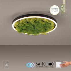 15391-66 GREEN RITUS LAMPA SUFITOWA NATURALNY MECH