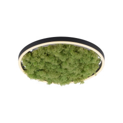 15391-66 GREEN RITUS LAMPA SUFITOWA NATURALNY MECH