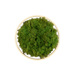 15391-66 GREEN RITUS LAMPA SUFITOWA NATURALNY MECH