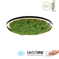15392-66 GREEN RITUS LAMPA SUFITOWA NATURALNY MECH